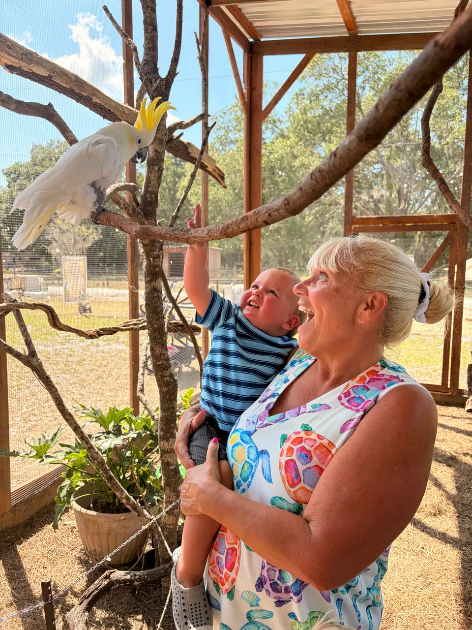 Guest enjoying an up-close animal encounter in the aviary