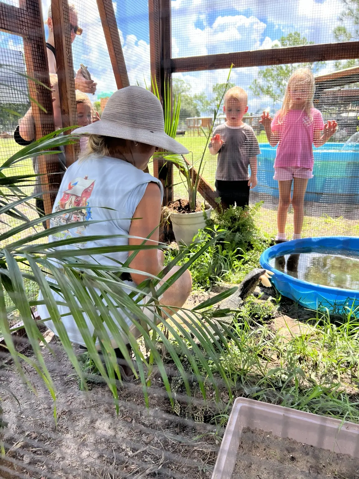 Children visiting the animal habitat at Country Critters