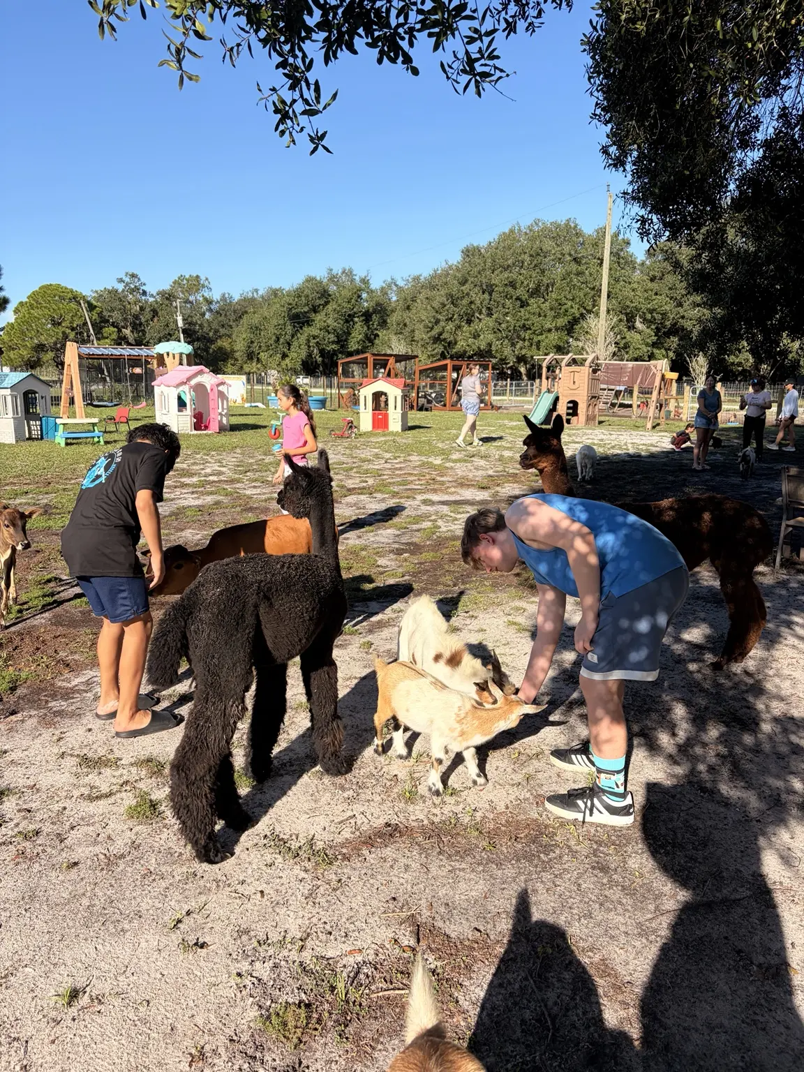 Families meeting the animals at Country Critters