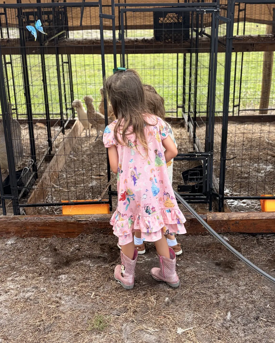 Young guest visiting the bird enclosure