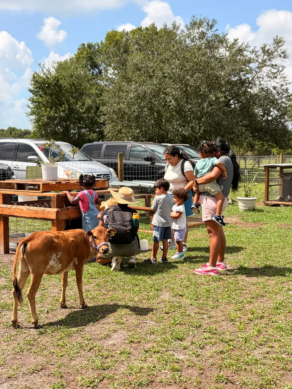 Families meeting free-roaming animals at Country Critters