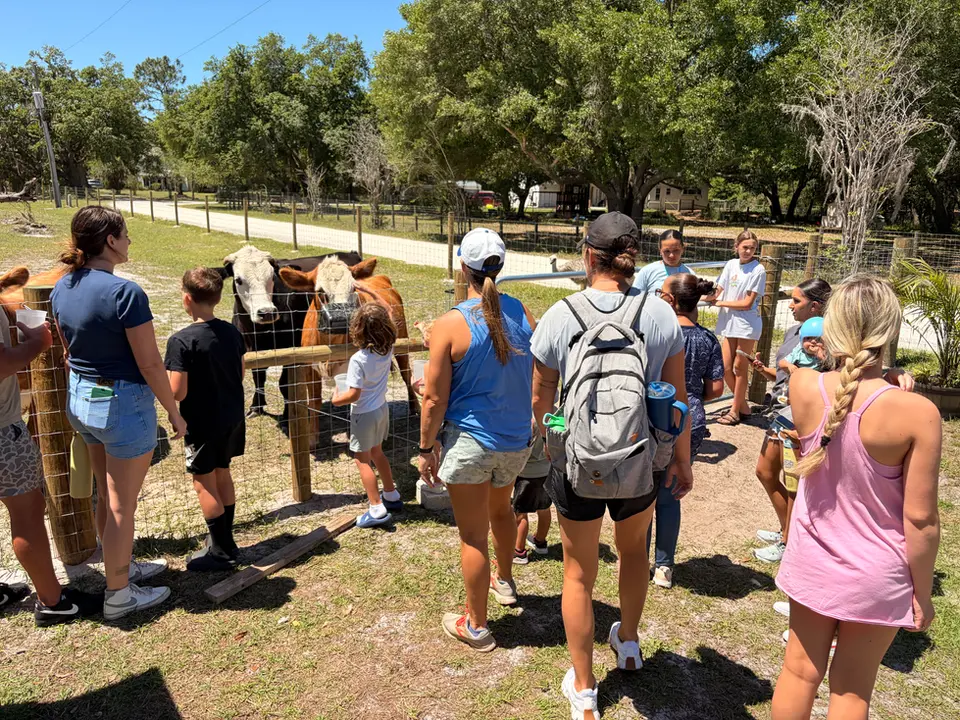 Visitors gathering for a hands-on farm experience