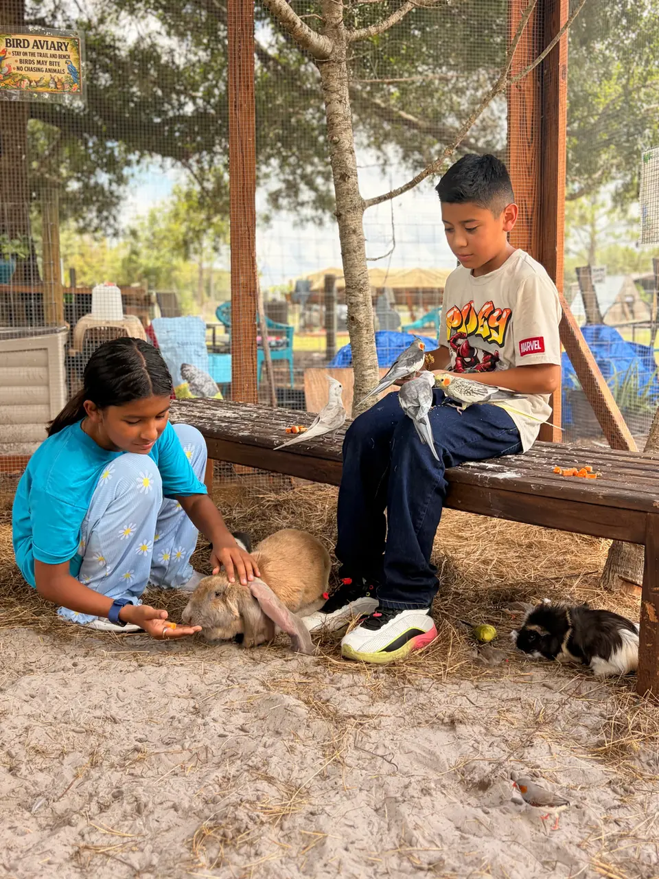 Children learning through an up-close farm animal visit