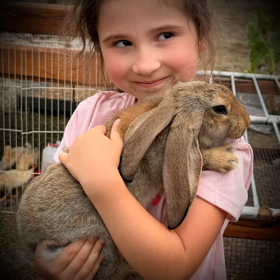 Smiling child holding a large rabbit