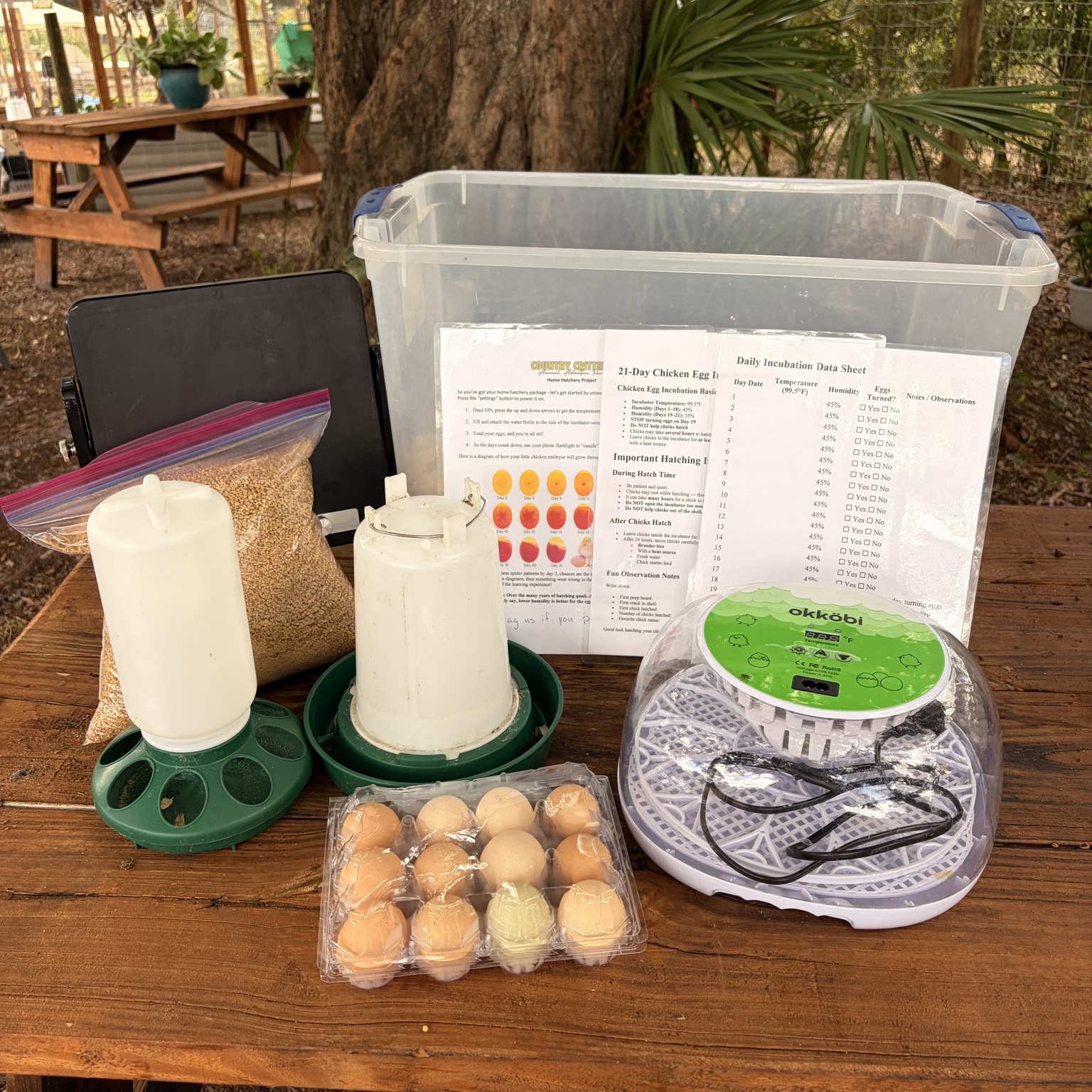 Home Hatchery Project kit with an incubator, 12 chicken eggs, chick feeder and waterer, food, rental bin, instructions and incubation data sheets